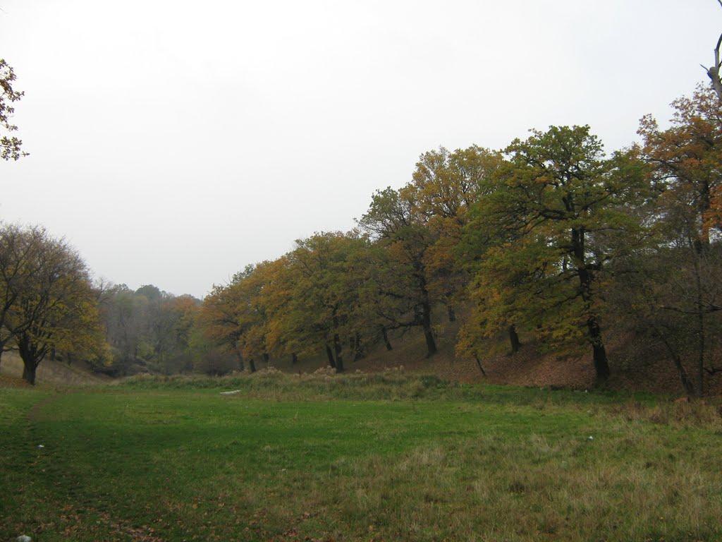 Хрустальний з panoramio.com - Хрустальний