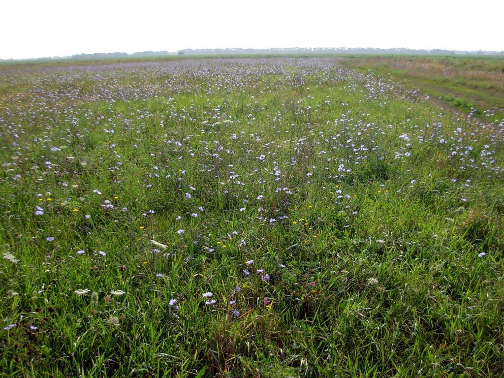 Прогрес з panoramio.com - Прогрес