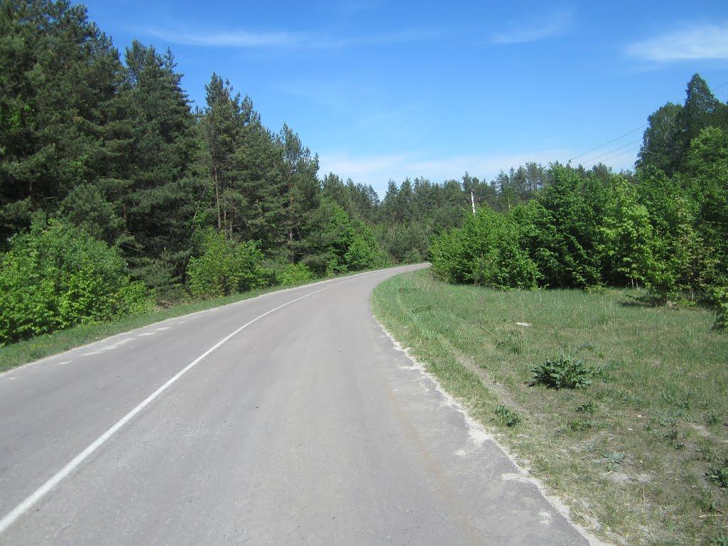 Мости з panoramio.com - Мости