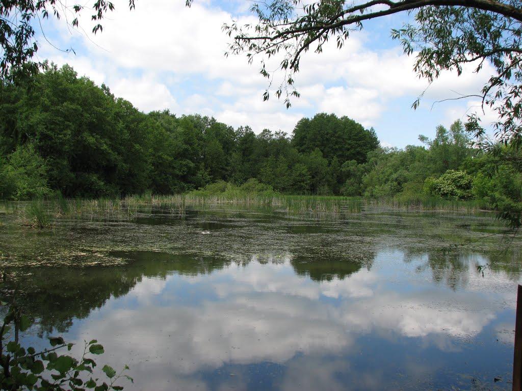 Малополовецьке з panoramio.com - Малополовецьке