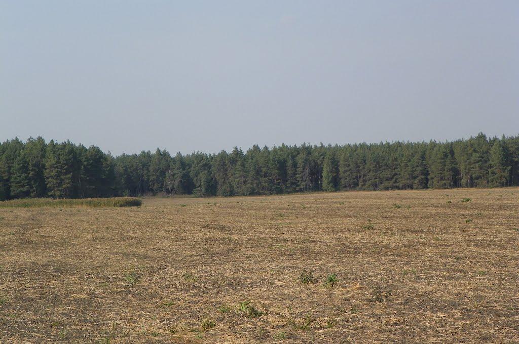 Чехівка з panoramio.com - Чеховка