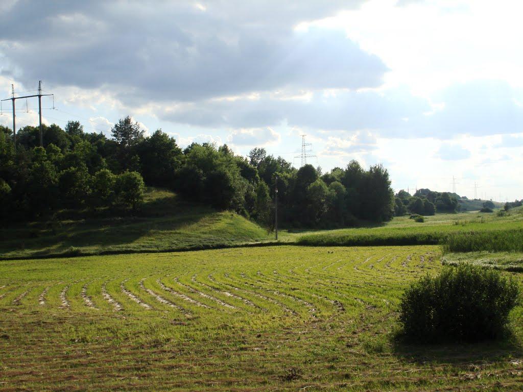 Барахти з panoramio.com - Barakhty