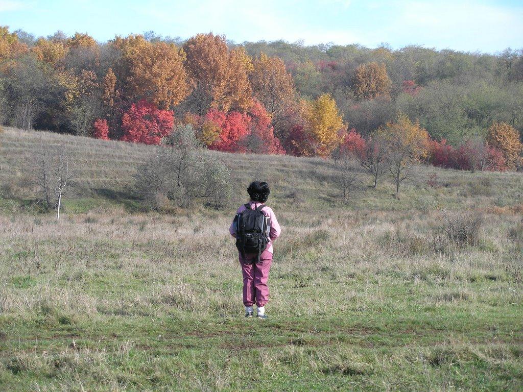 Дніпрельстан з panoramio.com - Дніпрельстан