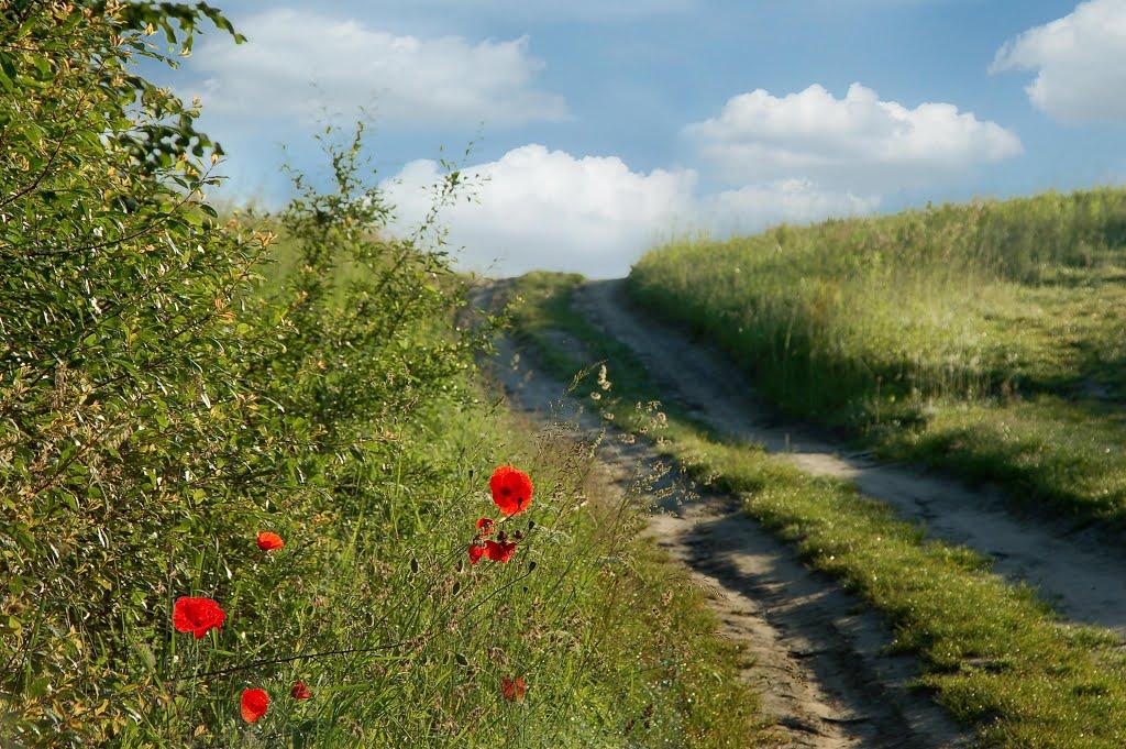 Ходорів з panoramio.com - Ходоров