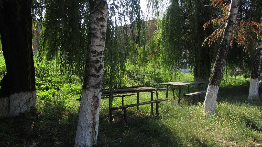 Кавуни з panoramio.com - Кавуни