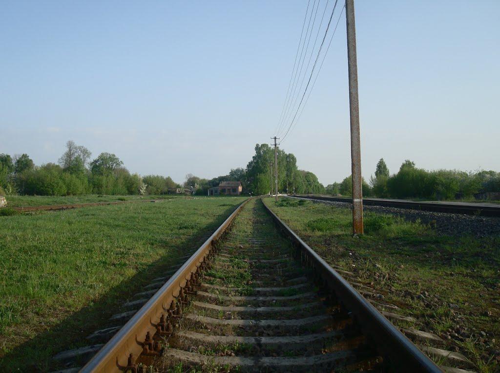 Чотирбоки з panoramio.com - Чотирбоки