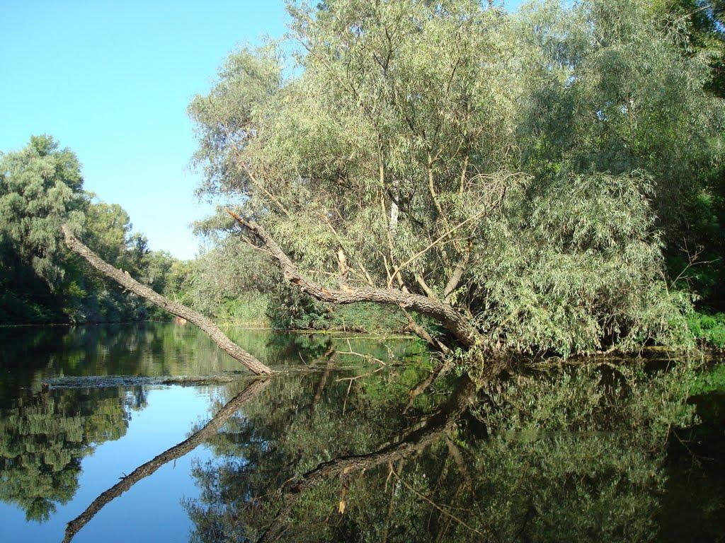 Кушугум з panoramio.com - Кушугум