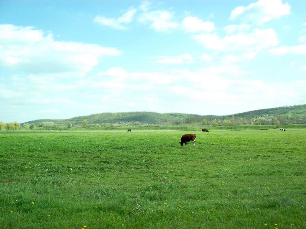 Ананьїв з panoramio.com - Ананьїв