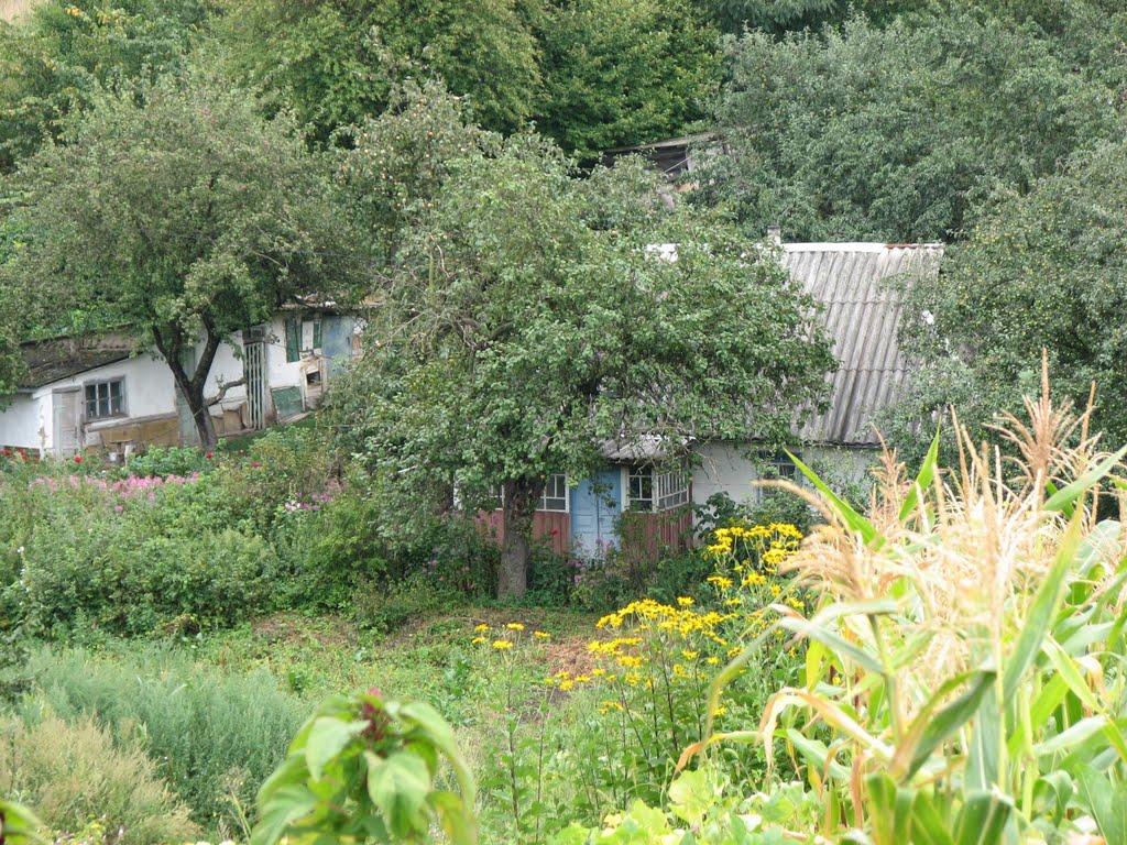 Малополовецьке з panoramio.com - Малополовецьке