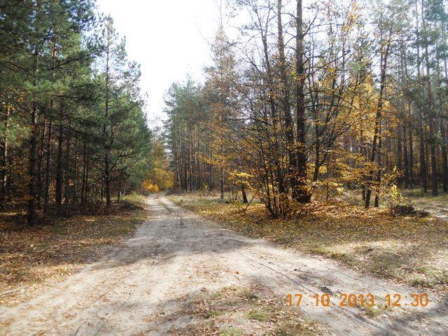 Бондарня з panoramio.com - Бондарня