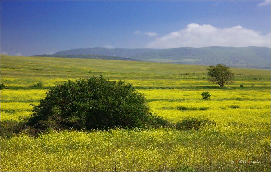 Інкерман з panoramio.com - Инкерман