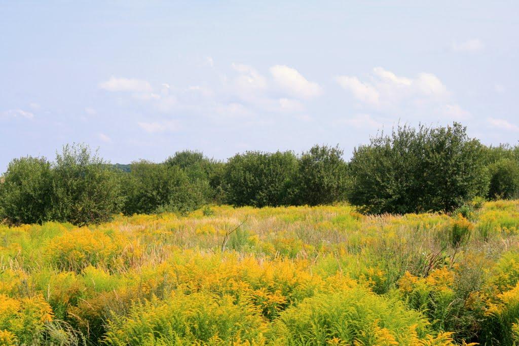 Острожець з panoramio.com - Ostrozhets