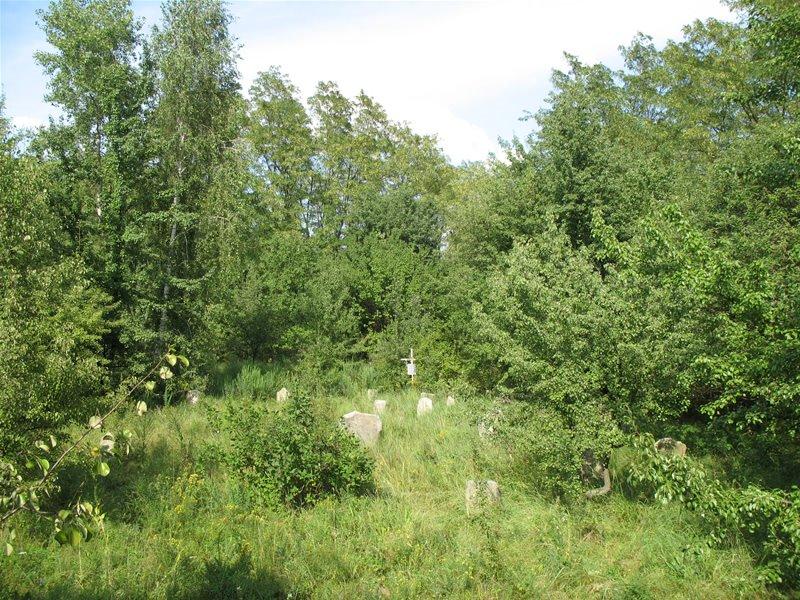Трахтемирів з panoramio.com - Трахтемиров