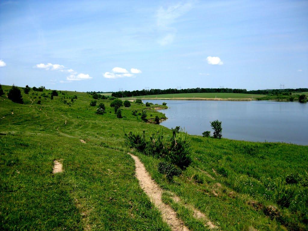 Лисянка з panoramio.com - Лисянка