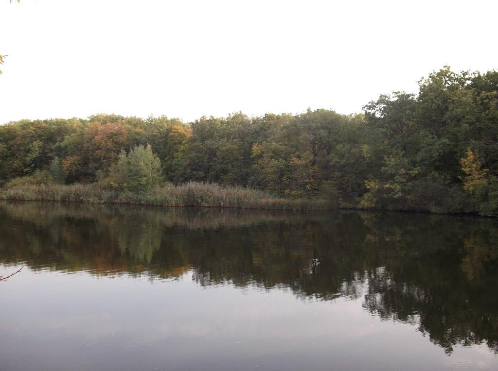 Орлівщина з panoramio.com - Орловщина