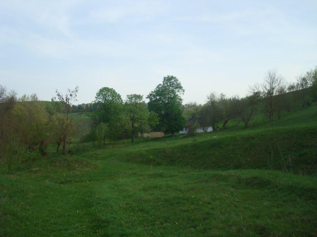 Вільховець з panoramio.com - Ольховец