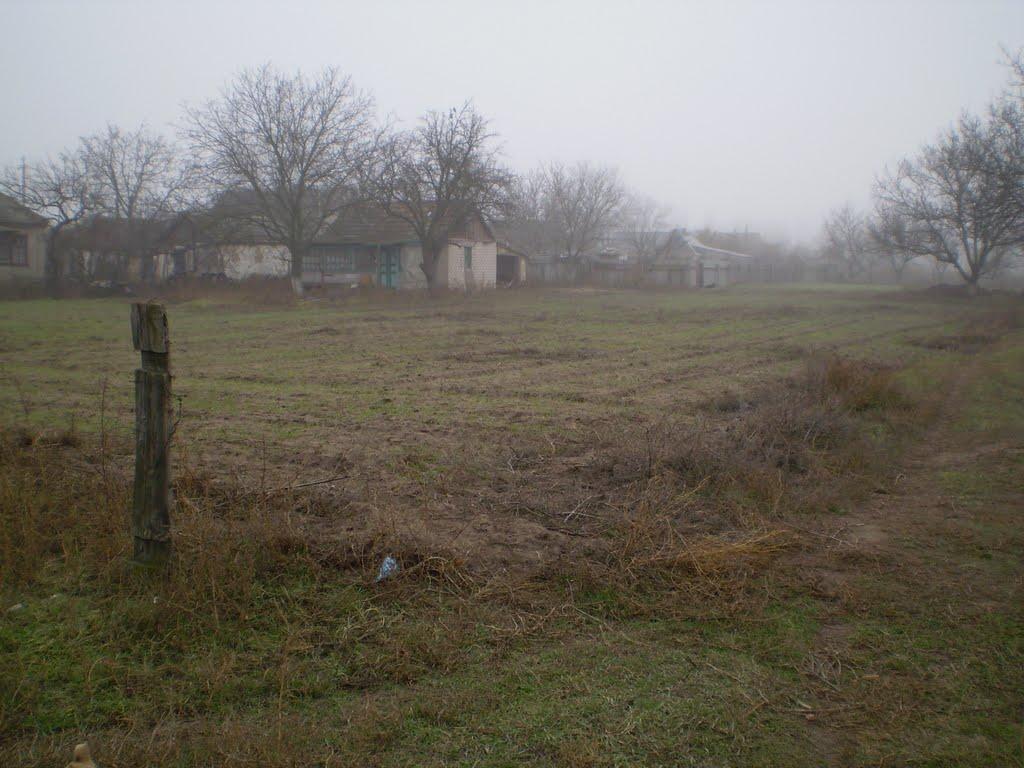 Новохортиця з panoramio.com - Новохортица