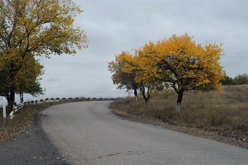 Вахрушеве з panoramio.com - Вахрушеве
