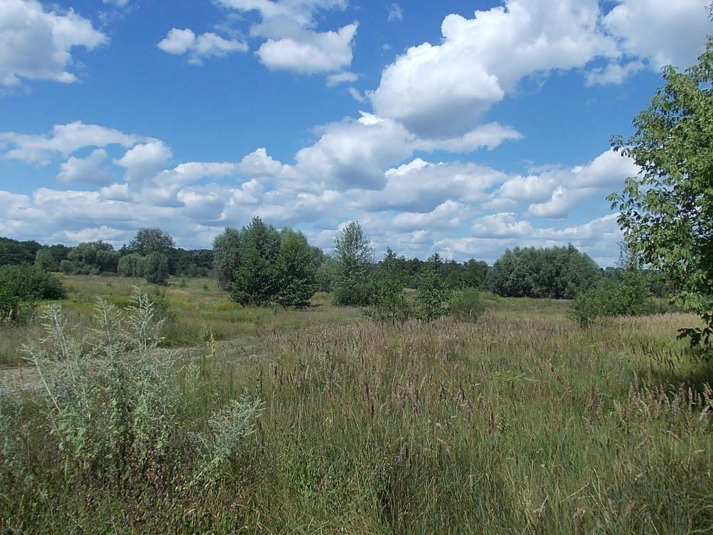 Балівка з panoramio.com - Балівка