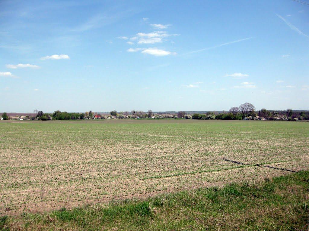 Трубіївка з panoramio.com - Трубіївка