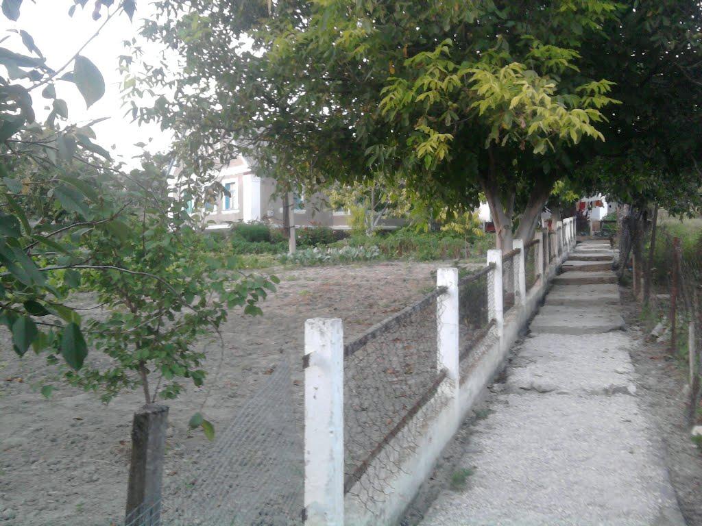 Багате з panoramio.com - Багате