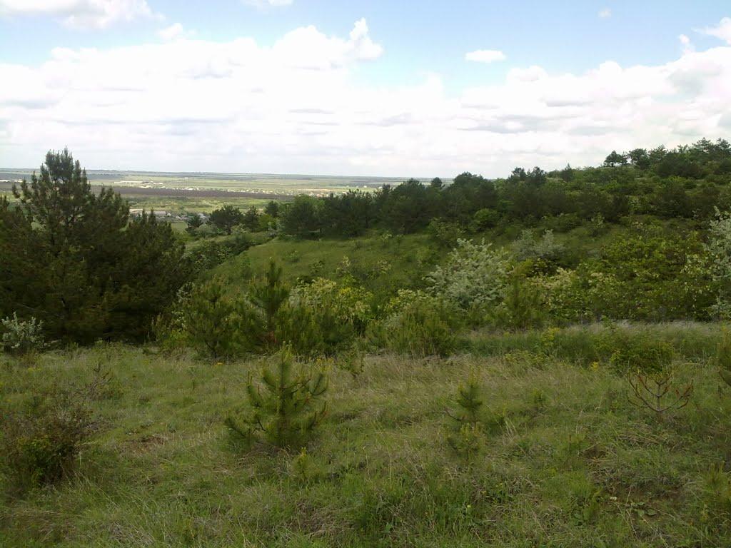 Червонознам'янка з panoramio.com - Червонознам'янка