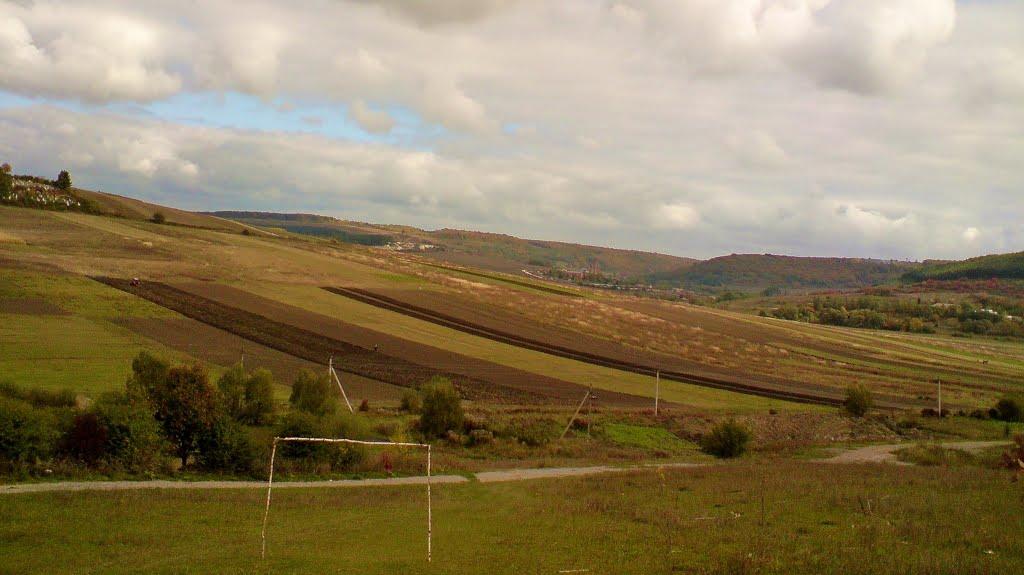 Куряни з panoramio.com - Куряни
