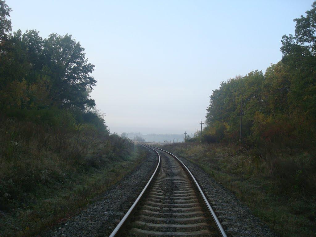 Городок з panoramio.com - Gorodok