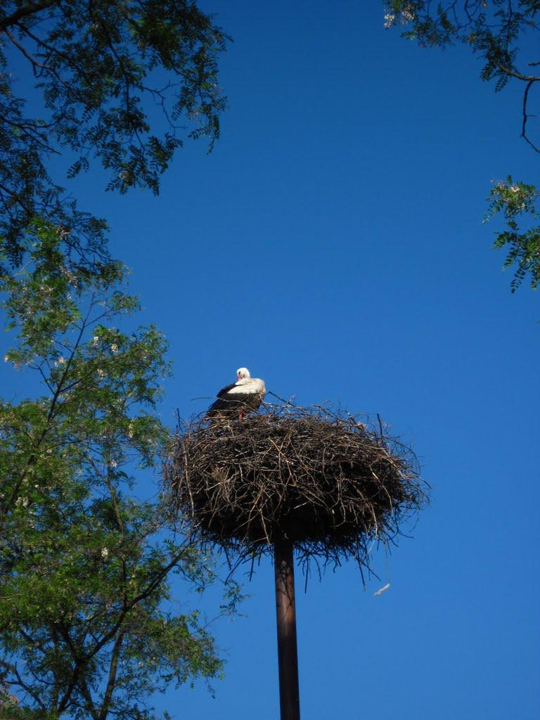 Кийлів з panoramio.com - Кийлів