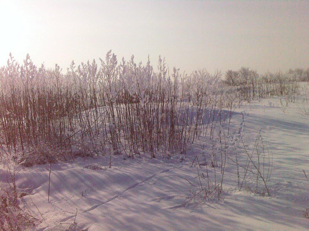 Меченки з panoramio.com - Меченки