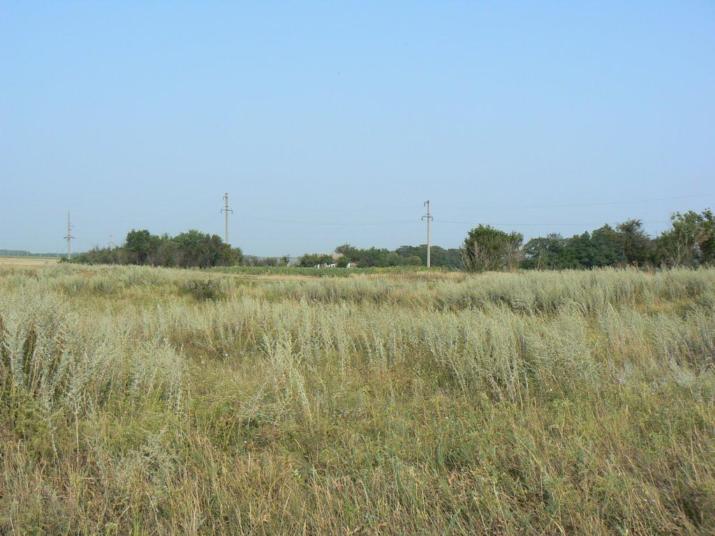 Світле з panoramio.com - Світле