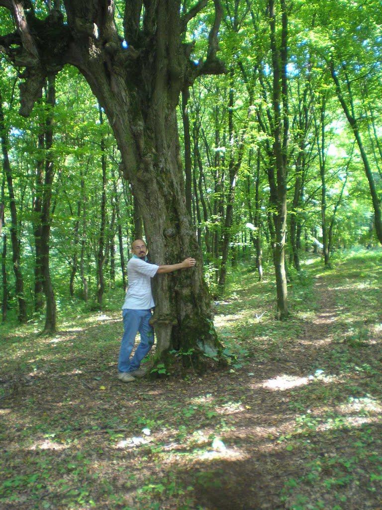 Кадиївці з panoramio.com - Кадиївці