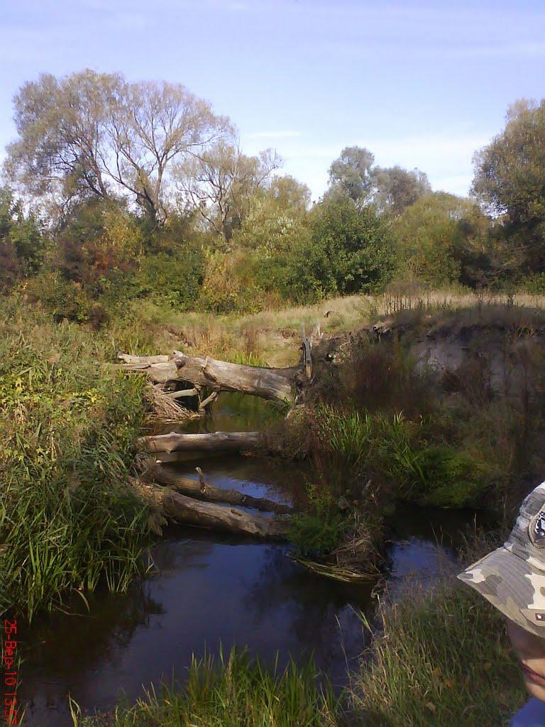 Чорногородка з panoramio.com - Чорногородка