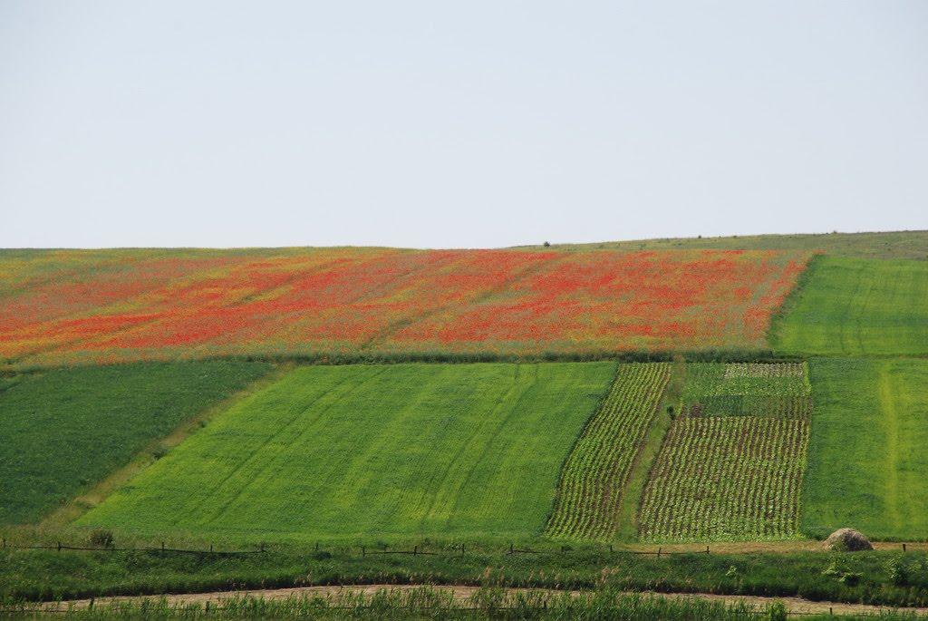 Крутнів з panoramio.com - Крутнев