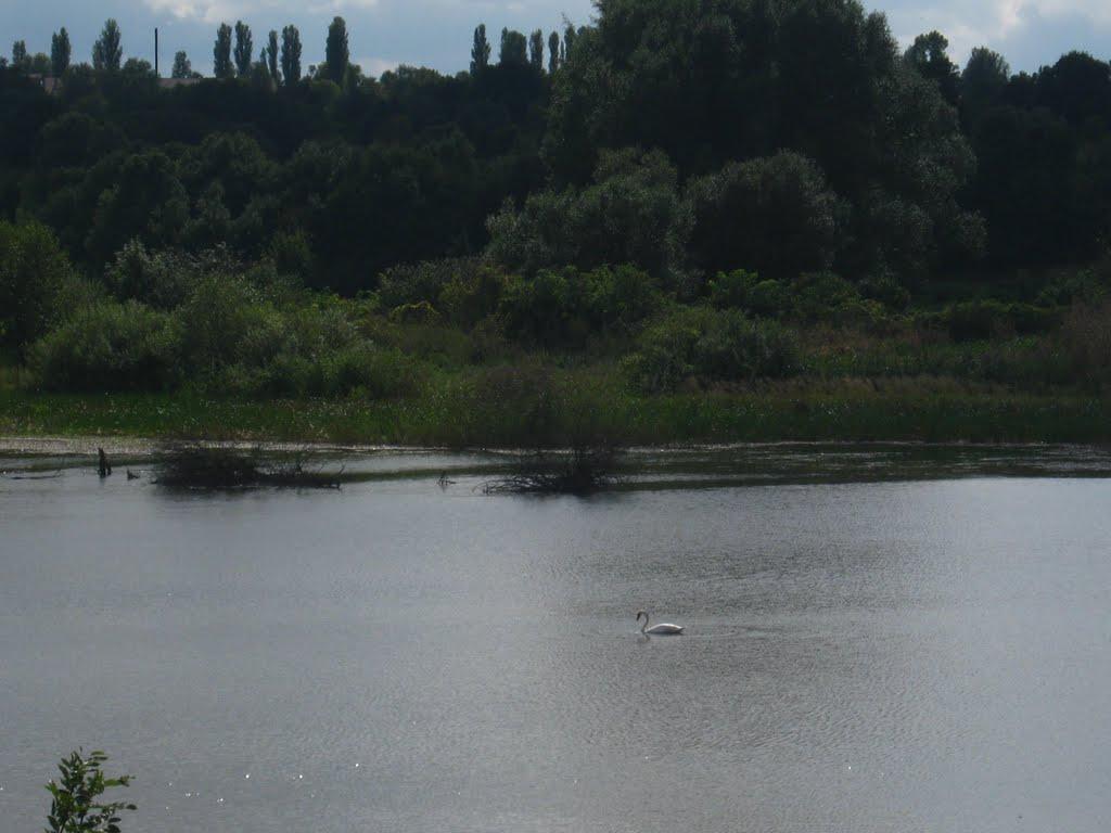 Пилява з panoramio.com - Пилява