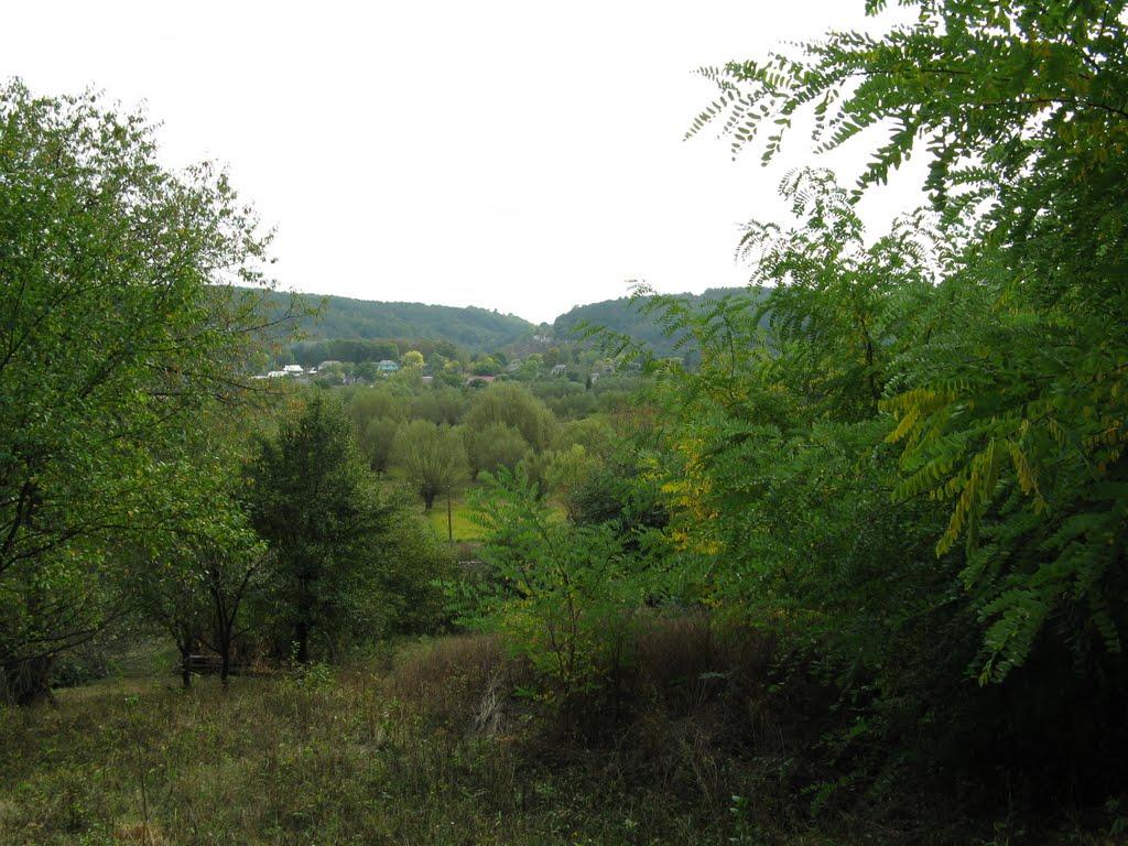 Миньківці з panoramio.com - Миньківці
