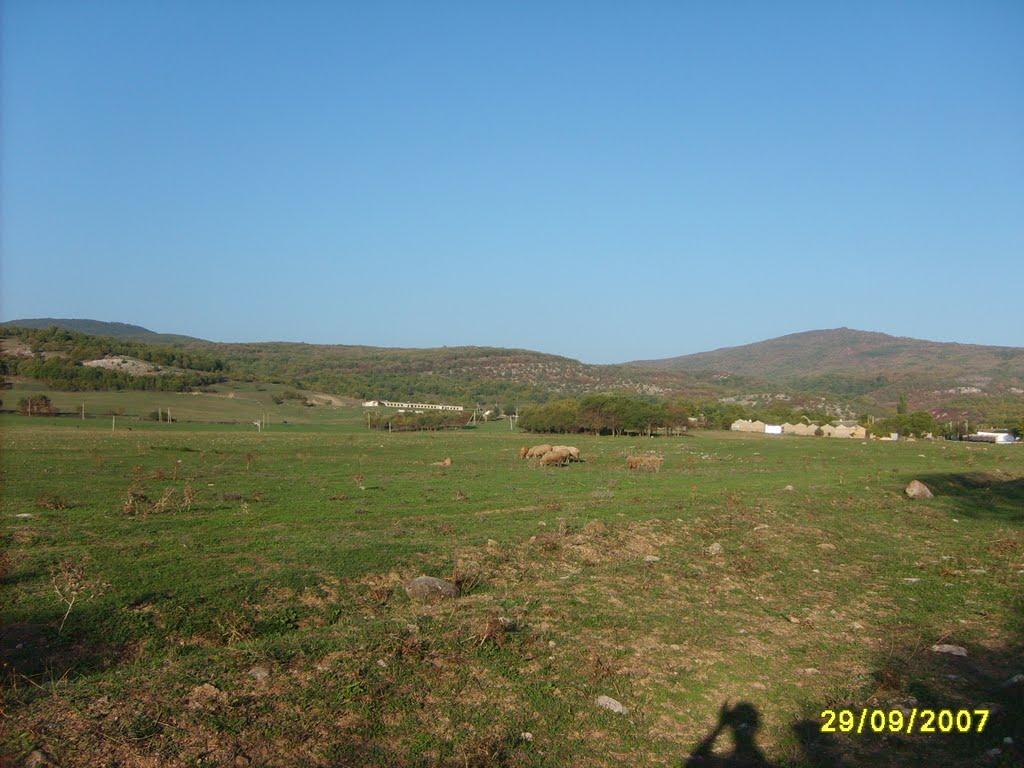 Новобобрівське з panoramio.com - Новобобровское