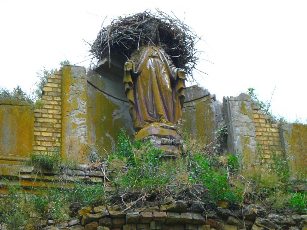 Сокіл з panoramio.com - Сокол