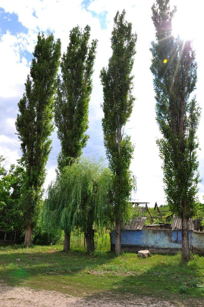 Малоярославець Другий з panoramio.com - Малоярославець Другий