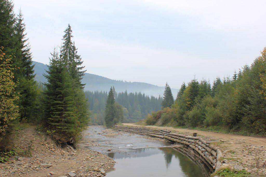 Чорна Тиса з panoramio.com - Черная Тиса