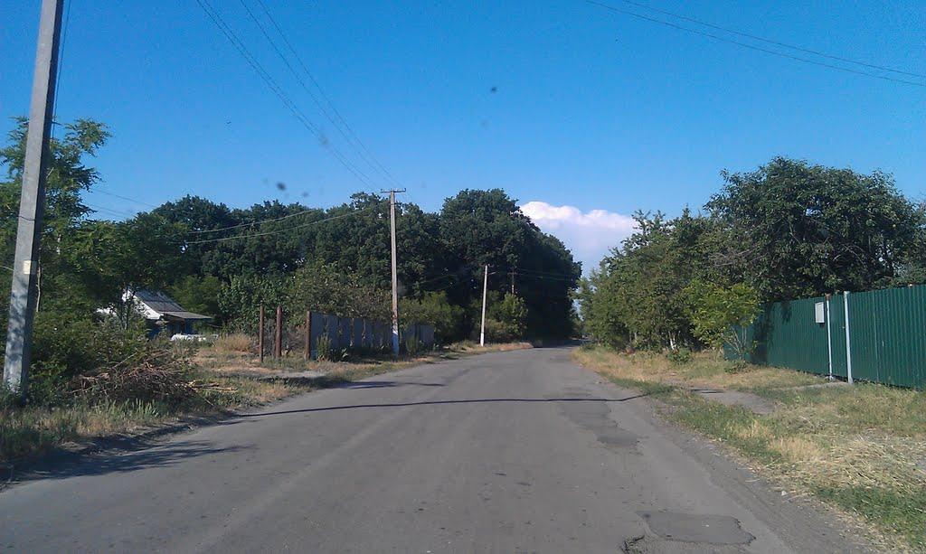 Святилівка з panoramio.com - Святиловка