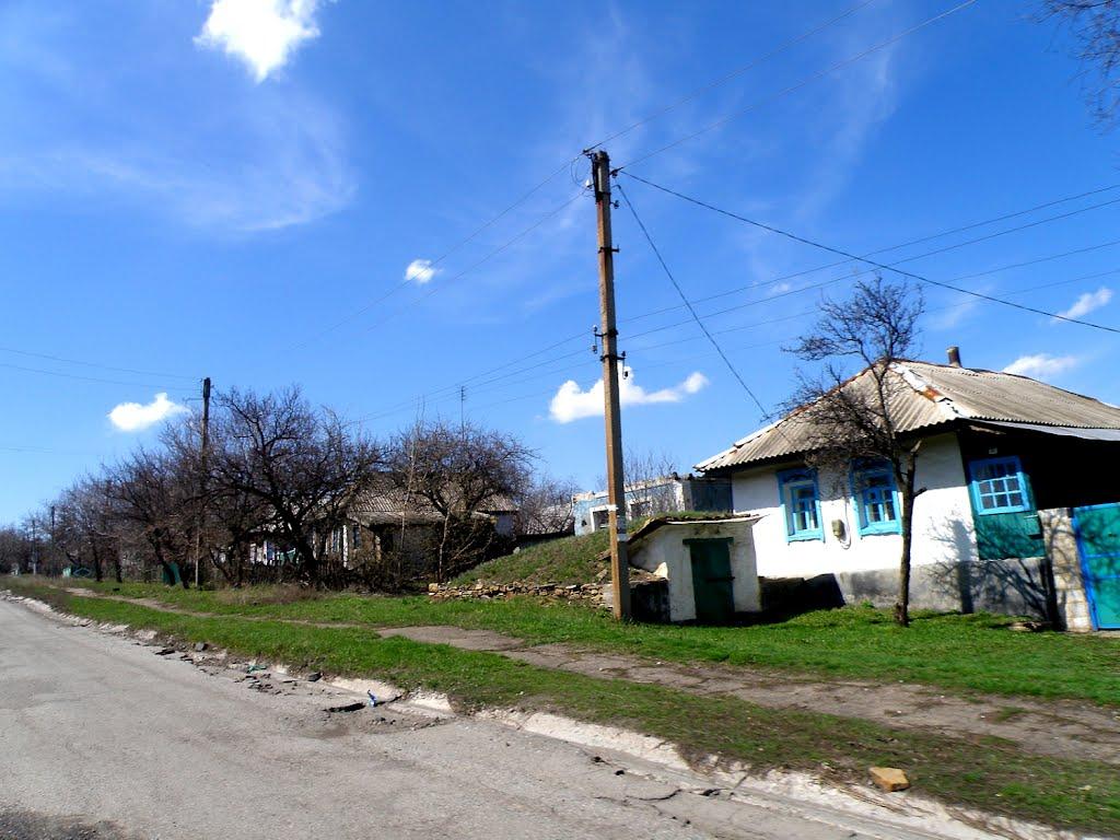 Федорівка з panoramio.com - Федорівка