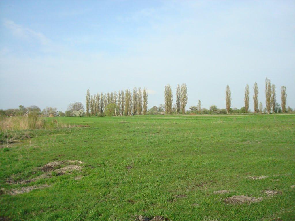 Дроздні з panoramio.com - Дроздни