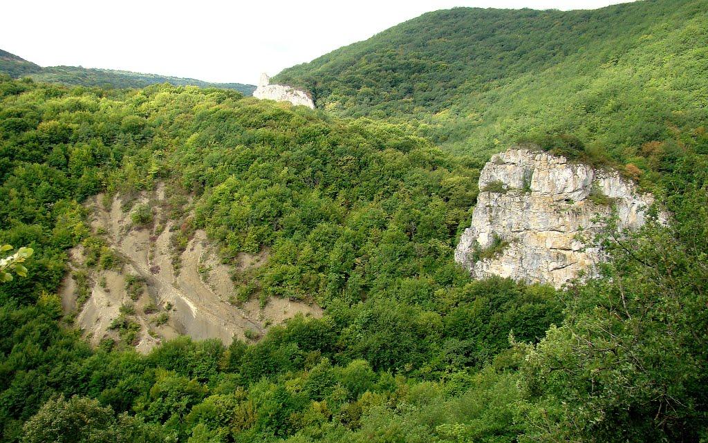 Красноселівка з panoramio.com - Красноселівка