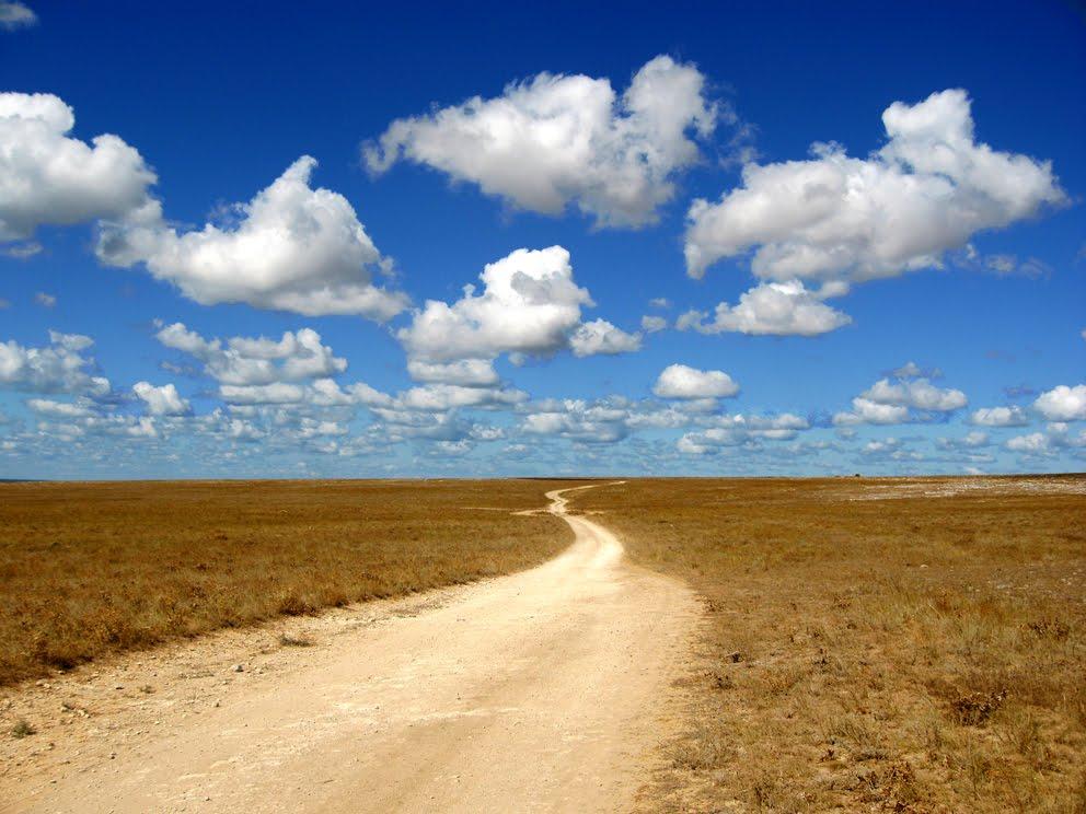 Окунівка з panoramio.com - Окуневка