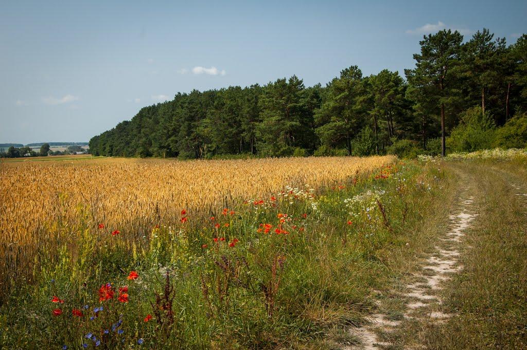 Теслугів з panoramio.com - Теслугів