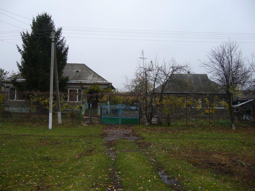 Немирівське з panoramio.com - Немировское