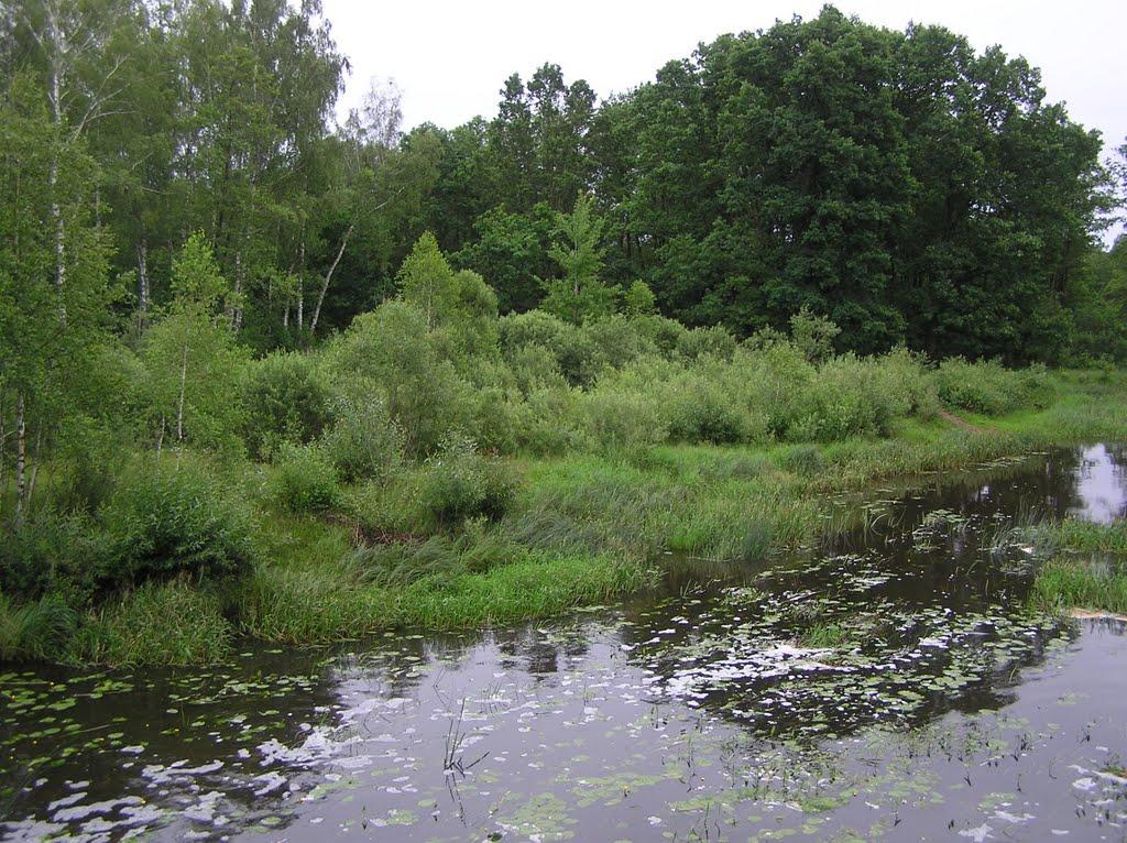 Горщик з panoramio.com - Горщик