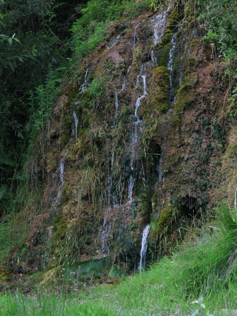 Делева з panoramio.com - Делева