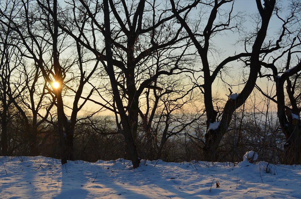 Борова з panoramio.com - Borova